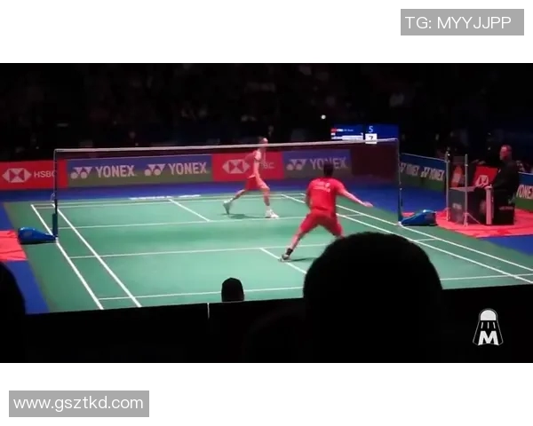 羽毛球顶级赛事回顾与未来展望